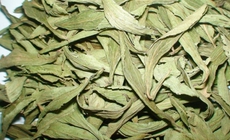 5 công thức trà với cỏ ngọt