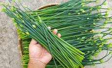 4 cách dùng rau hẹ chữa bệnh