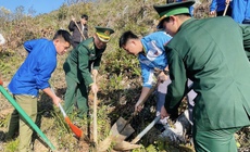 Tuyên Quang: Trồng 3.000 cây xanh ở vành đai biên giới Việt - Trung