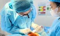 Chiêm nghiệm về nghề sau Ngày Thầy thuốc Việt Nam