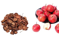 2 bài thuốc Đông y trợ tiêu hóa do thức ăn tích trệ