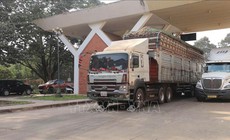 Bộ Công Thương ra công văn hướng dẫn việc kiểm tra an toàn thực phẩm nhập khẩu