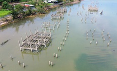 'Ma trận' cọc bê tông giữa 'tuyệt tình cốc' xứ Huế