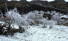 Miền Bắc có khả năng xảy ra sương muối, băng giá khi đón không khí lạnh mạnh