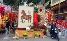 Hà Nội: Không khí Tết đã rộn ràng trên nhiều tuyến phố 