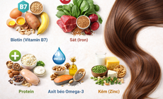 5 dưỡng chất thiết yếu giúp tóc mọc nhanh, chắc khỏe từ gốc đến ngọn