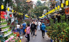 Khi nào miền Bắc chuyển nắng ráo?