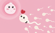 Có nên thụ thai ngay những ngày đầu năm? Góc nhìn chuyên gia