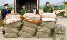 Vận chuyển hơn nửa tấn nầm lợn bốc mùi không rõ nguồn gốc, tài xế bị phạt 35 triệu đồng