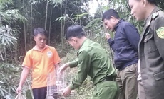 Nuôi chim cu rốc đầu xám quý hiếm, người dân đến Công an xã giao nộp