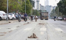 Hà Nội: Xe tải làm rơi đất trên đường, CSGT truy tận công trường xử lý