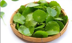 Cách phòng chứng ngứa da, nổi mề đay vào mùa xuân