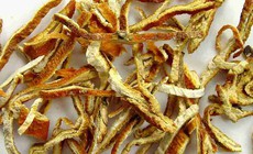 4 vị thuốc giúp giảm trào ngược dạ dày – thực quản