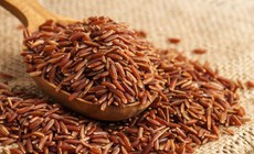 Dược thiện cho người yếu sinh lý