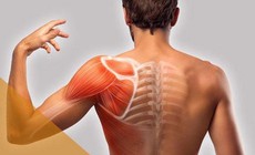 Đau vai, hạn chế cử động tay cảnh giác với đông cứng khớp vai