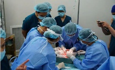 Bệnh viện Nhi đồng 1 ghép thận thành công ca đầu tiên cho bệnh nhi 14 tuổi
