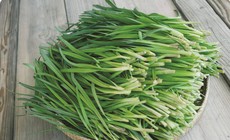 29 bài thuốc chữa bệnh từ cây rau hẹ