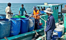 Hơn 40.000 lít nước ngọt đến với đảo Hòn Chuối giữa nắng hạn