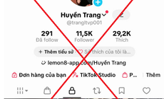 Khởi tố nhóm lừa đảo qua TikTok với chiêu ‘lỗi chuyển khoản’