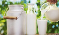 4 thức uống giàu vitamin D giúp xương chắc khỏe