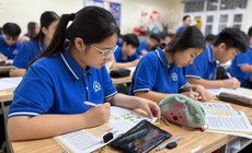 Không được ép buộc khi thực hiện phân luồng, hướng nghiệp cho học sinh