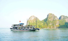 Siết chặt an toàn tàu du lịch trên vịnh Hạ Long và vịnh Bái Tử Long