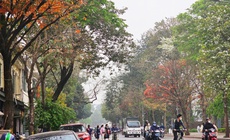 Miền Bắc sương mù vào sáng sớm, nắng mạnh vào trưa chiều