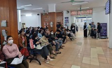 Trường hợp không phải trực tiếp thông báo hằng tháng tìm việc làm khi hưởng trợ cấp thất nghiệp?