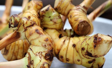 Củ riềng: Gia vị giúp bảo vệ hệ tiêu hóa khi ăn đồ sống, lạnh