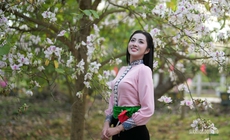 Tháng 3 Điện Biên, hoa ban nở trắng miền lịch sử