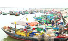 Rút ngắn chuyến biển, ngư dân Hà Tĩnh háo hức chờ ngày bỏ phiếu