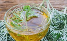 3 cách sử dụng ngải cứu làm sáng da hiệu quả tại nhà