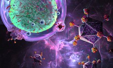 Lần đầu ‘tái thiết lập’ hệ miễn dịch, cứu sống bệnh nhân mắc 3 bệnh tự miễn nguy hiểm