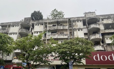 Chung cư xuống cấp nghiêm trọng giữa trung tâm Hà Nội chuẩn bị 'thay áo mới'