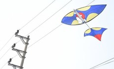 Thả diều gây mất điện, một người dân ở Hải Phòng bị phạt 5 triệu đồng