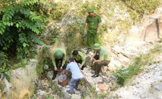 Thả rắn hổ mang chúa quý hiếm về rừng tự nhiên