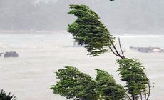 Khả năng xuất hiện bão mạnh trong mùa mưa bão năm nay thế nào?