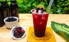 Bí quyết giảm cân từ quả dâu tằm