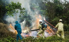 Nắng nóng, cảnh báo cháy rừng mức cao nhất ở nhiều khu vực