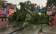 Cảnh báo dông lốc, mưa đá ở khu vực Bắc Bộ và Thanh Hóa