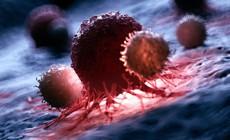 Y học thế giới tìm ra cách biến tế bào T thành 'siêu chiến binh' diệt ung thư