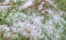 Mưa đá, lốc xoáy gây thiệt hại ở Quảng Ngãi