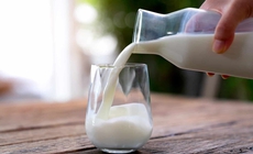 Uống nhiều sữa có tốt cho việc tăng cơ?