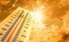 Bé gái ở Nghệ An tử vong sau nhiều giờ bị bỏ quên trong ô tô