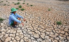 Bộ Nông nghiệp và Môi trường cảnh báo sớm về El Nino năm 2026