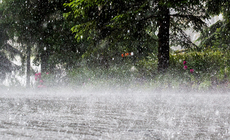 Cập nhật mới nhất thiệt hại do thiên tai dông lốc, mưa đá