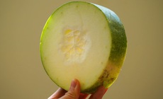 3 cách dùng bí đao dưỡng da trắng mịn, sạch mụn chỉ sau vài tuần sử dụng