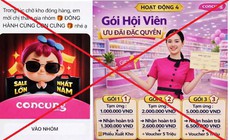 Người phụ nữ mất gần 1 tỷ đồng vì tham gia nhóm 'Đồng hành cùng Con Cưng' giả mạo