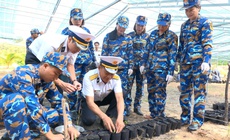 Vùng 4 Hải quân ươm, nhân giống 30.000 cây trồng thực hiện chương trình 'Xanh hóa Trường Sa'