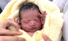 Tìm thân nhân bé gái sơ sinh bị bỏ rơi tại chùa Vạn Ninh